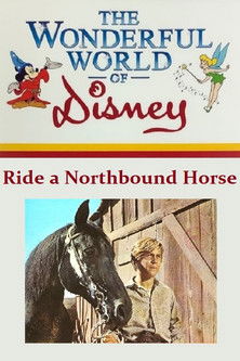 Movie poster for Ride a Northbound Horse (1969)