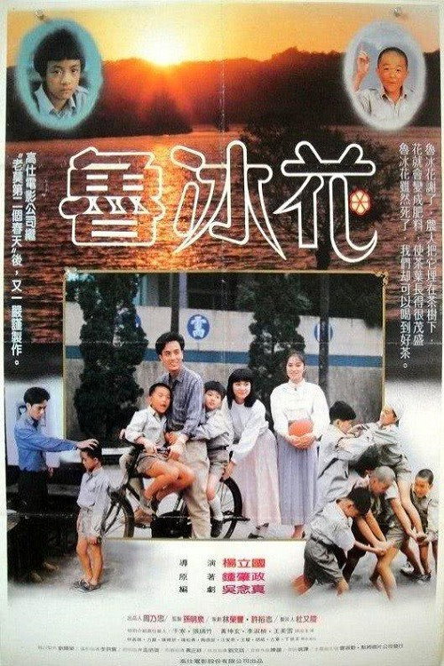 Movie poster for The Dull-Ice Flower (1989)