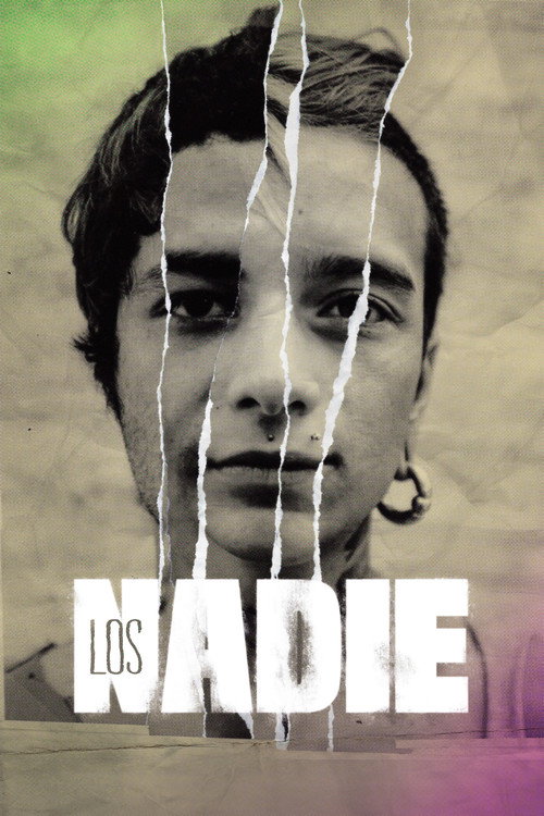 Movie poster for The Nobodies (2016)