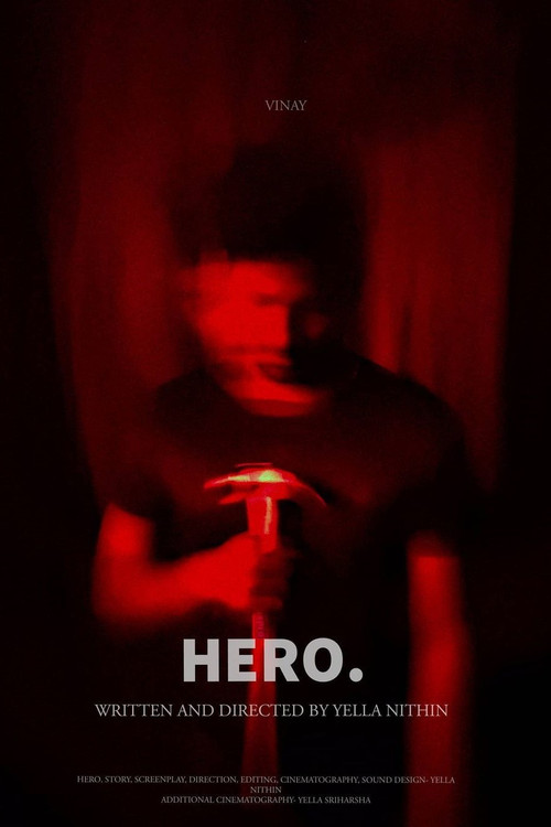 Movie poster for HERO... (2021)