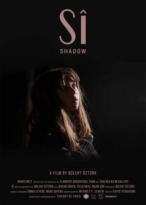 Movie poster for Shadow (2015)