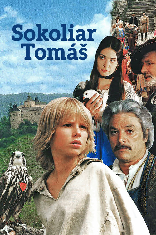 Movie poster for Tomáš and the Falcon King (2000)