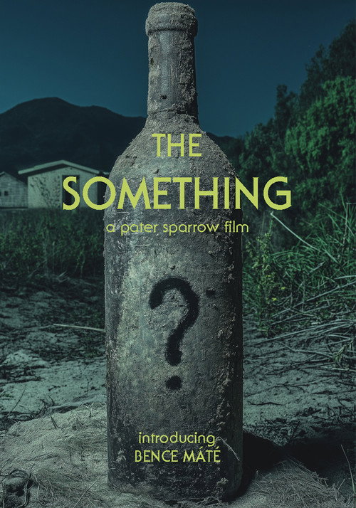 Movie poster for The Something (2000)
