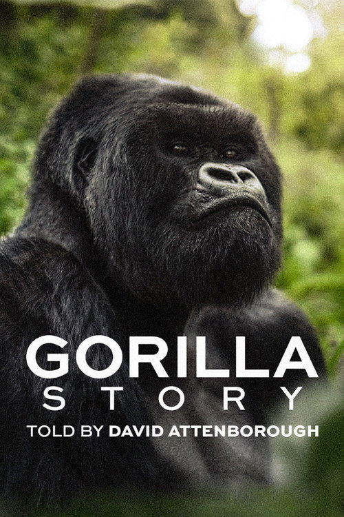 Movie poster for A Gorilla Story: Told by David Attenborough (2026)