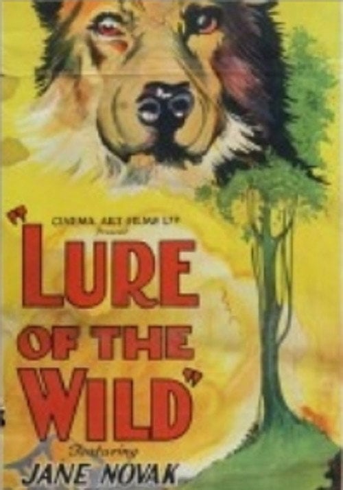 Movie poster for The Lure of the Wild (1925)