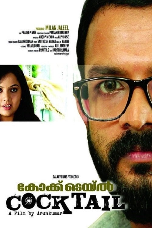 Movie poster for Cocktail (2010)