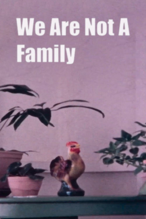 Movie poster for We Are Not A Family (1973)