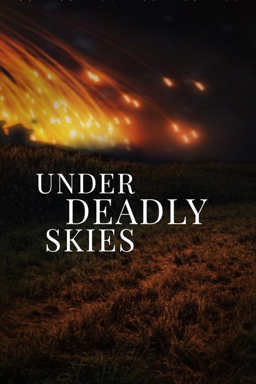 Movie poster for Under Deadly Skies: Ukraine's Eastern Front (2023)