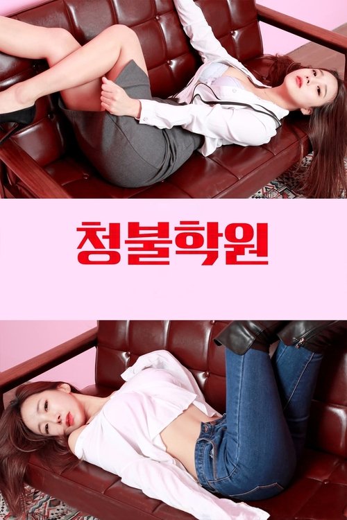 Movie poster for Adult Only Institute (2017)