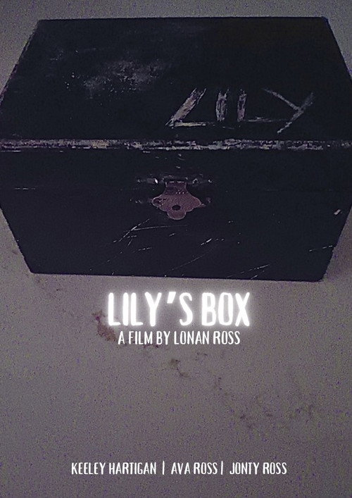 Movie poster for Lily’s Box (2024)