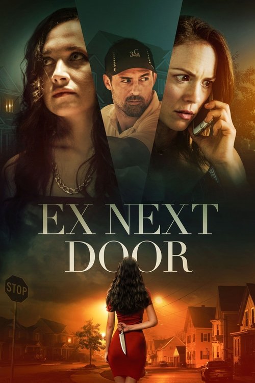 Movie poster for The Ex Next Door (2019)
