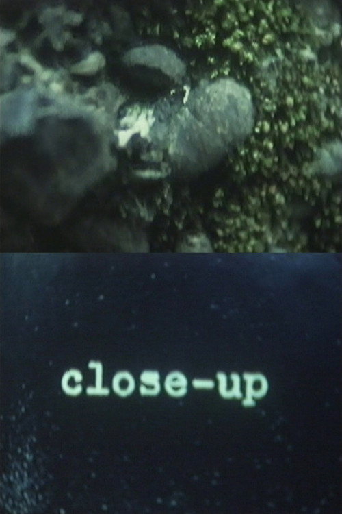 Movie poster for Close-Up (1993)