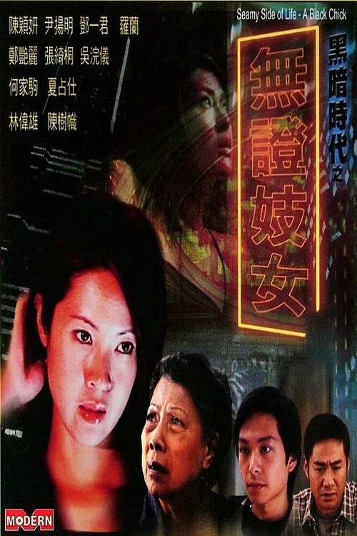 Movie poster for Seamy Side Of Life - A Black Chick (2001)