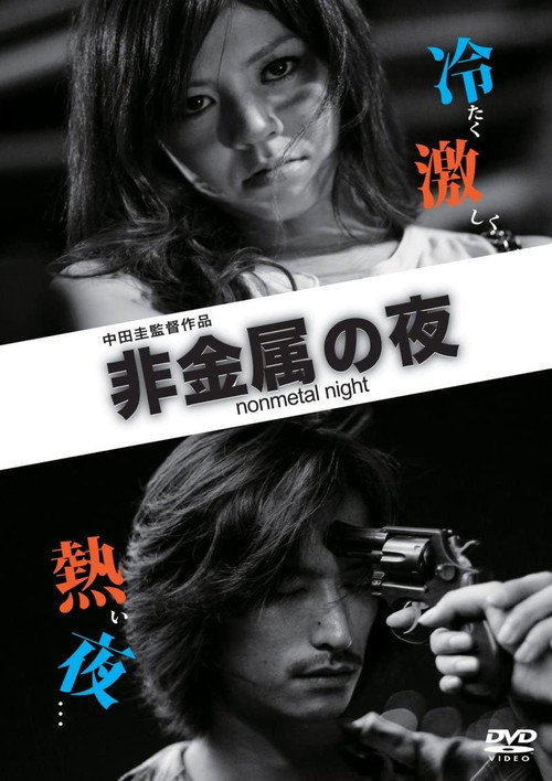 Movie poster for Nonmetal Night (2013)