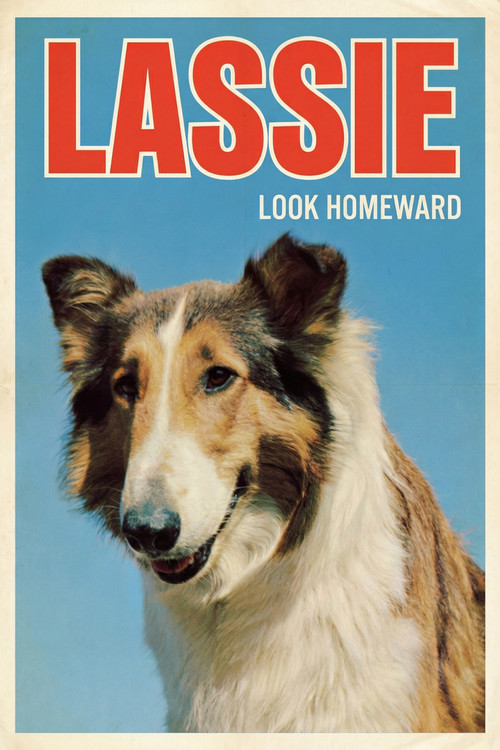 Movie poster for Look Homeward (1965)