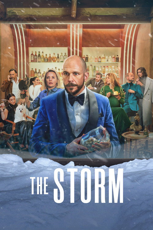 Movie poster for The Storm (2026)