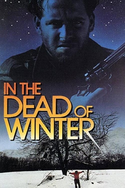 Movie poster for In The Dead Of Winter (1993)