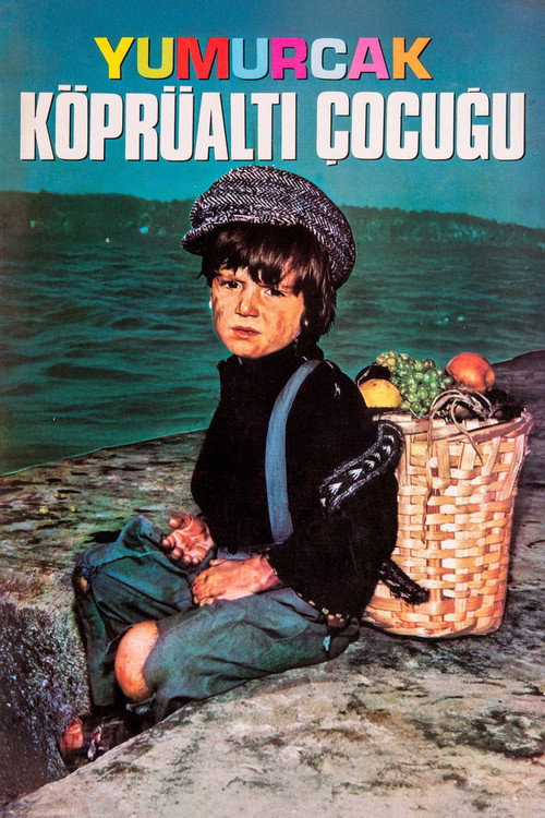 Movie poster for Yumurcak Köprüaltı Çocuğu (1970)