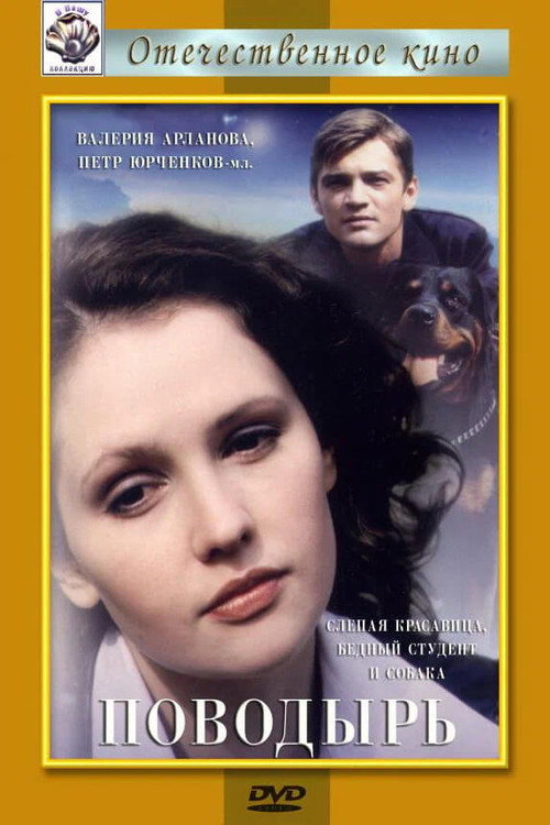 Movie poster for The Guide (2001)