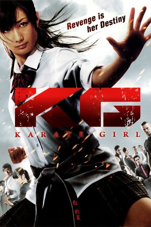 Movie poster for Karate Girl (2011)