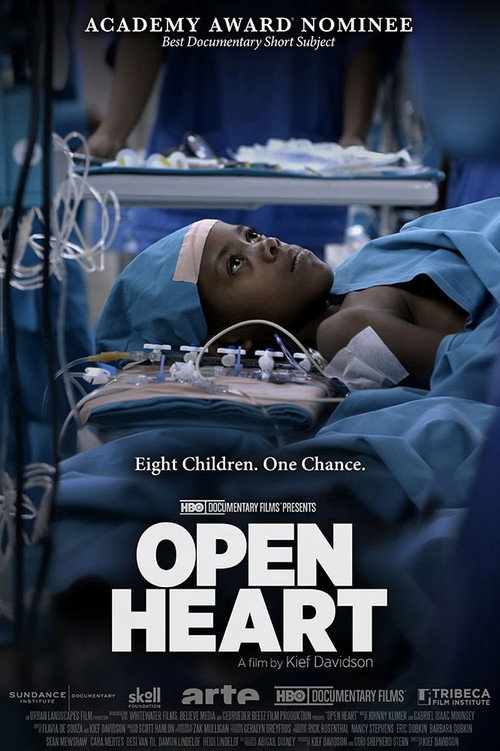 Movie poster for Open Heart (2013)
