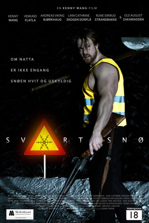 Movie poster for Svart Snø (2014)