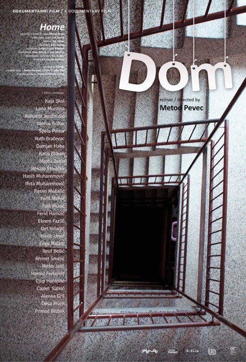 Movie poster for Home (2015)