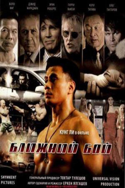 Movie poster for The Ultimate Fighter (2007)