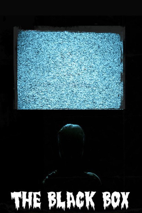 Movie poster for The Black Box (2010)