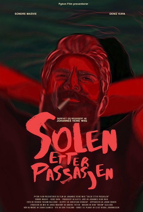 Movie poster for Solen etter Passasjen (2023)