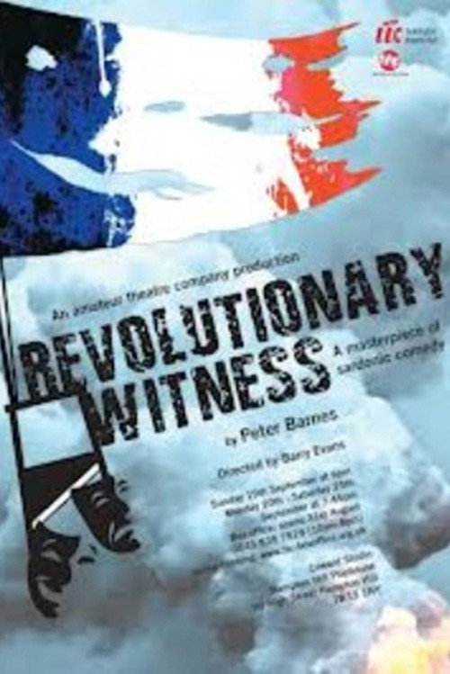 Movie poster for Revolutionary Witness (1989)