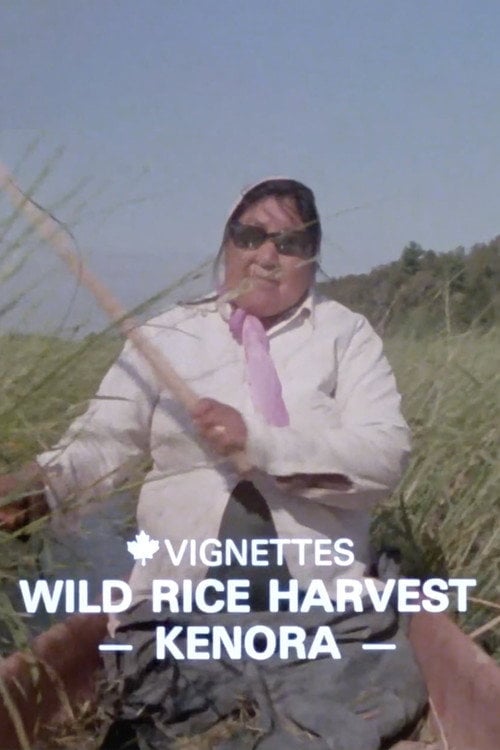 Movie poster for Canada Vignettes: Wild Rice Harvest Kenora (1979)