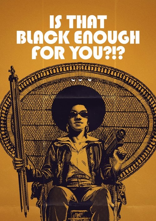 Movie poster for Is That Black Enough for You?!? (2022)