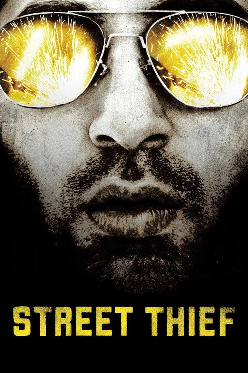 Movie poster for Street Thief (2006)