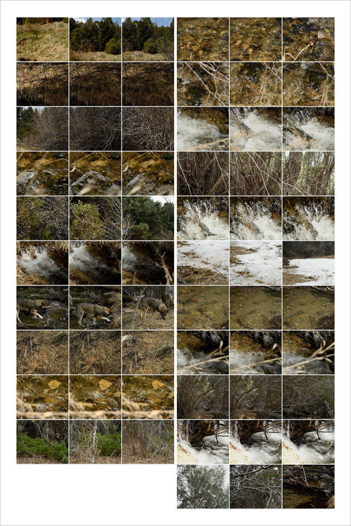 Movie poster for Interactions 3: Forest and Stream (2023)