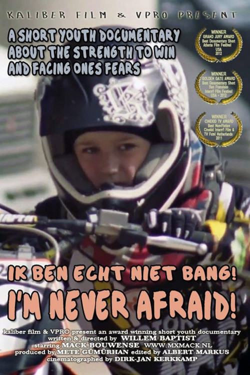 Movie poster for I'm Never Afraid! (2012)
