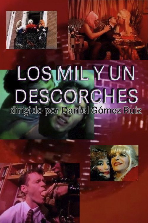 Movie poster for Los 1001 descorches (1999)