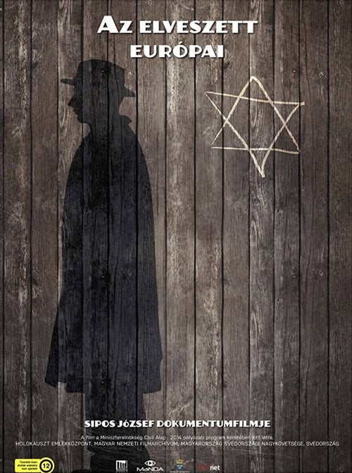 Movie poster for The Lost European (2015)