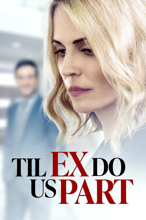 Movie poster for Til Ex Do Us Part (2018)
