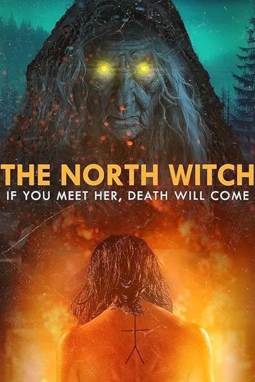 Movie poster for The North Witch (2024)