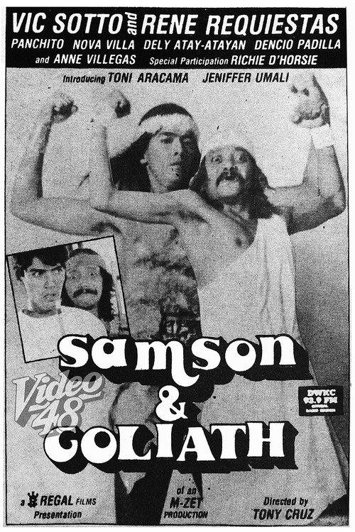 Movie poster for Samson & Goliath (1990)
