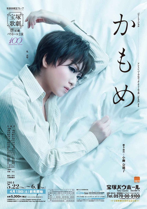 Movie poster for The Seagull (2014)