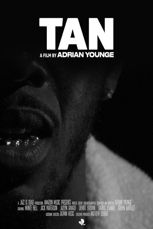 Movie poster for T.A.N. (2021)