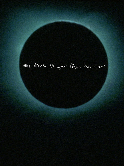 Movie poster for She Drank Vinegar from the River