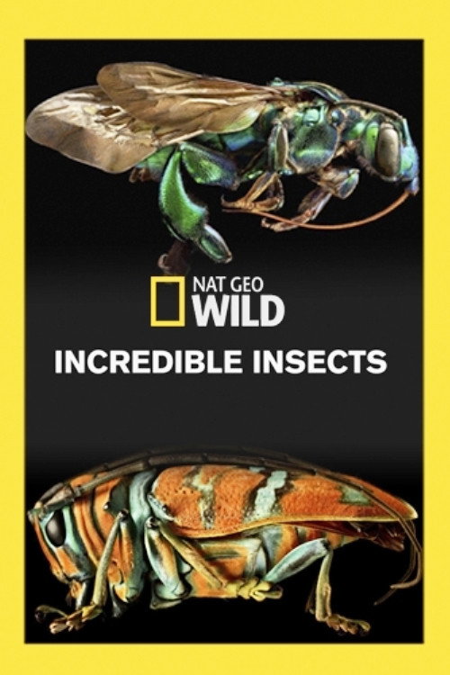 Movie poster for Incredible Insects (2016)
