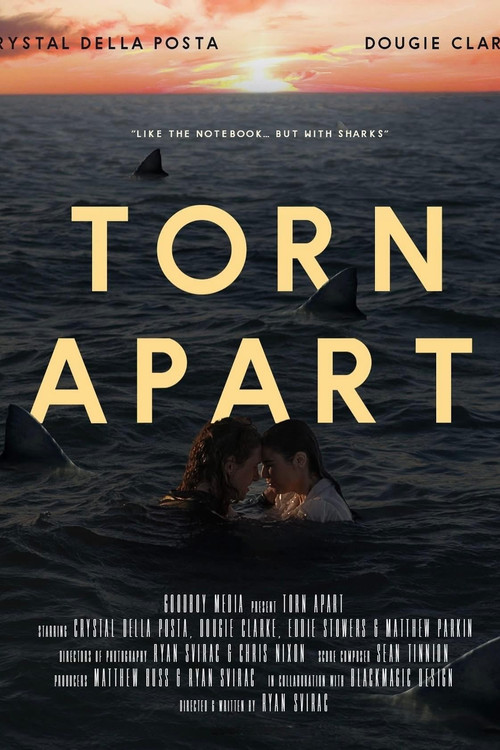 Movie poster for Torn Apart (2024)
