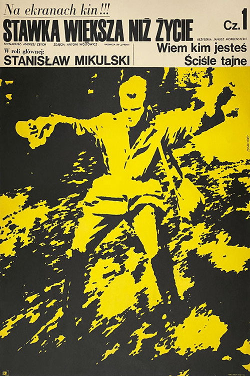 Movie poster for More Than Life At Stake Part One (1969)
