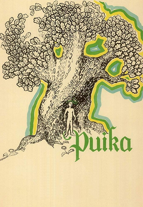 Movie poster for A Boy (1977)