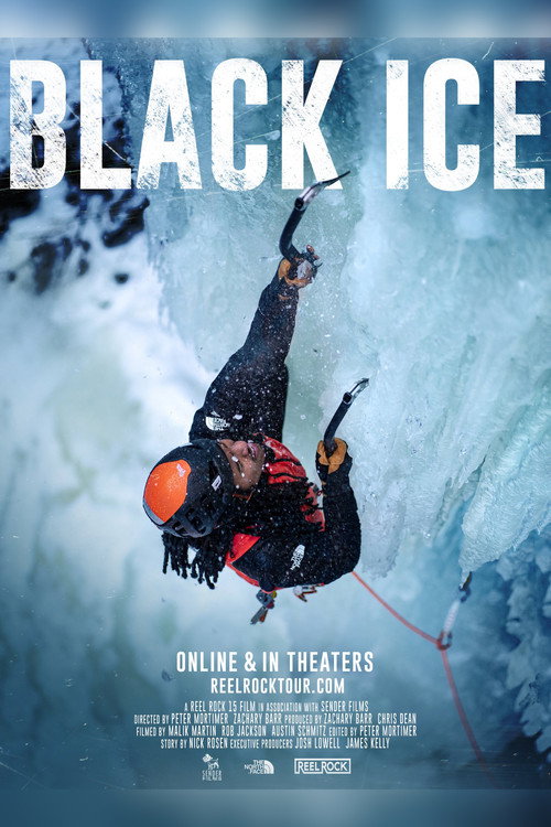 Movie poster for Black Ice (2020)