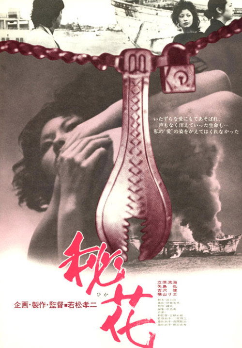 Movie poster for Secret Flower (1971)